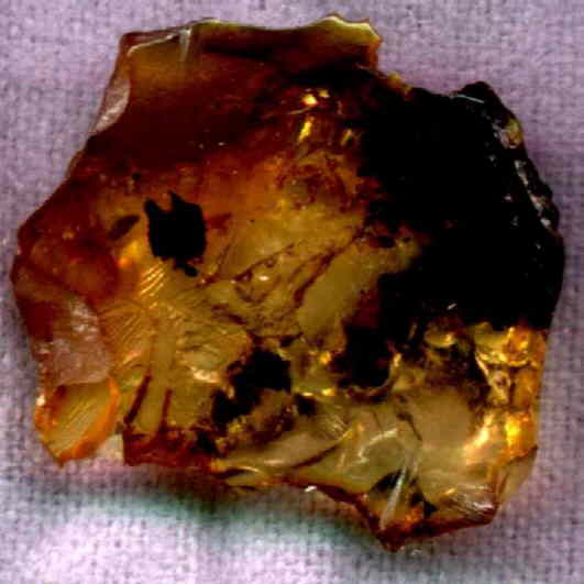 Rav med bark